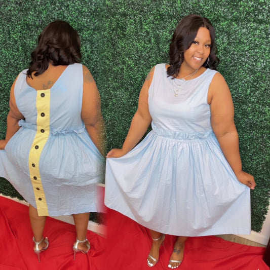 Mary Mack's Spring Dress